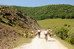 cycling